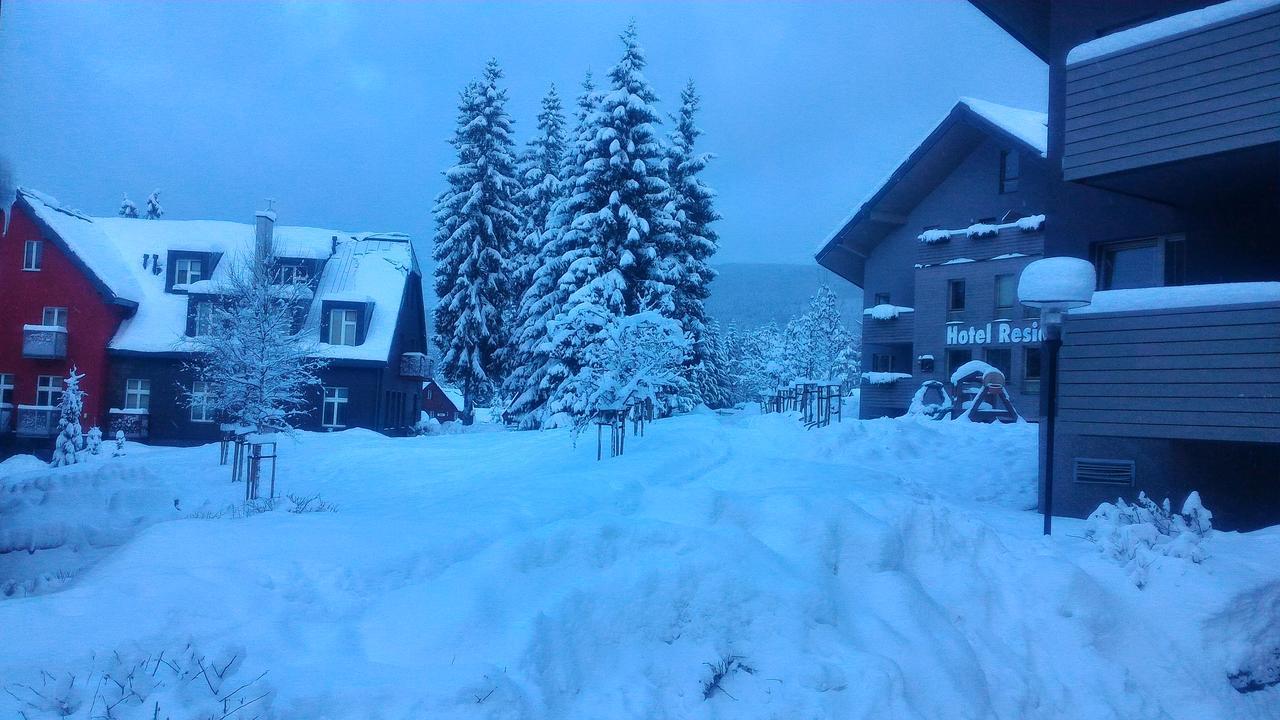 Draco * Harrachov