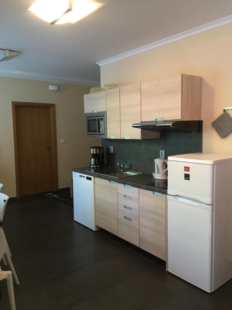 Apartment Draco Harrachov